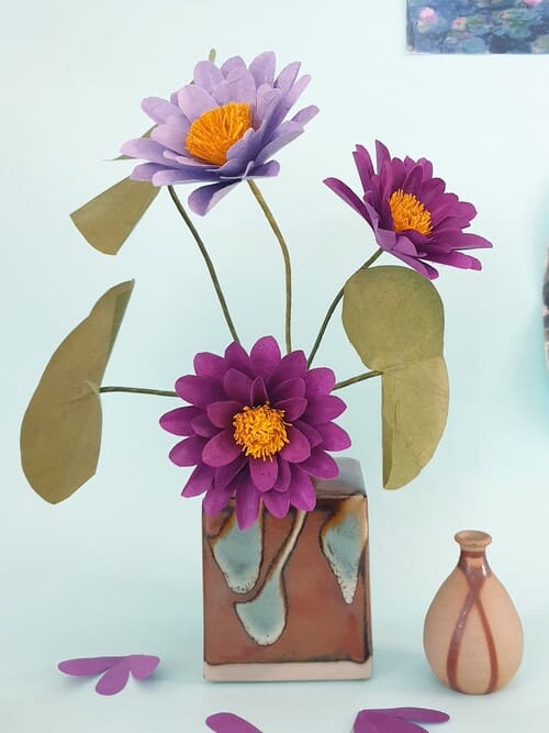 lotus violets